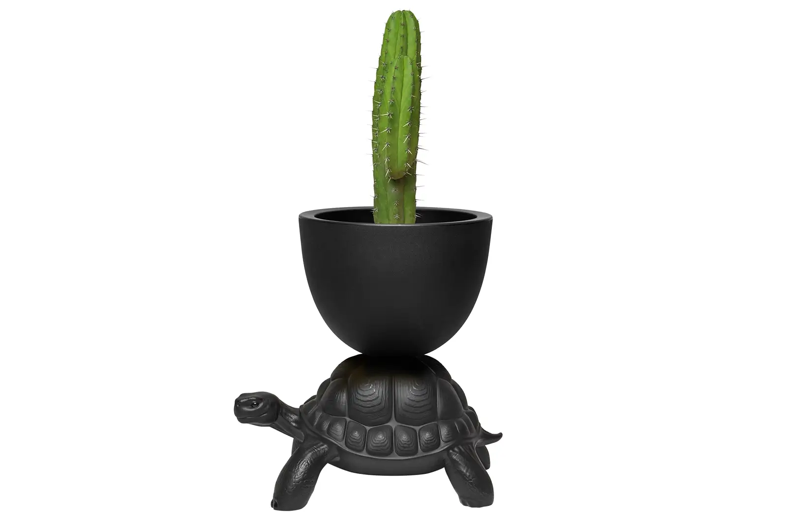 Qeeboo Turtle | Pflanzenträger und Champagnerkühler | Black