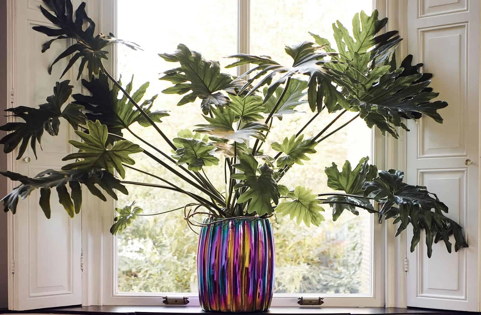 Pols Potten Curvy Plant Pot | Pflanzengefäß Multi-Color