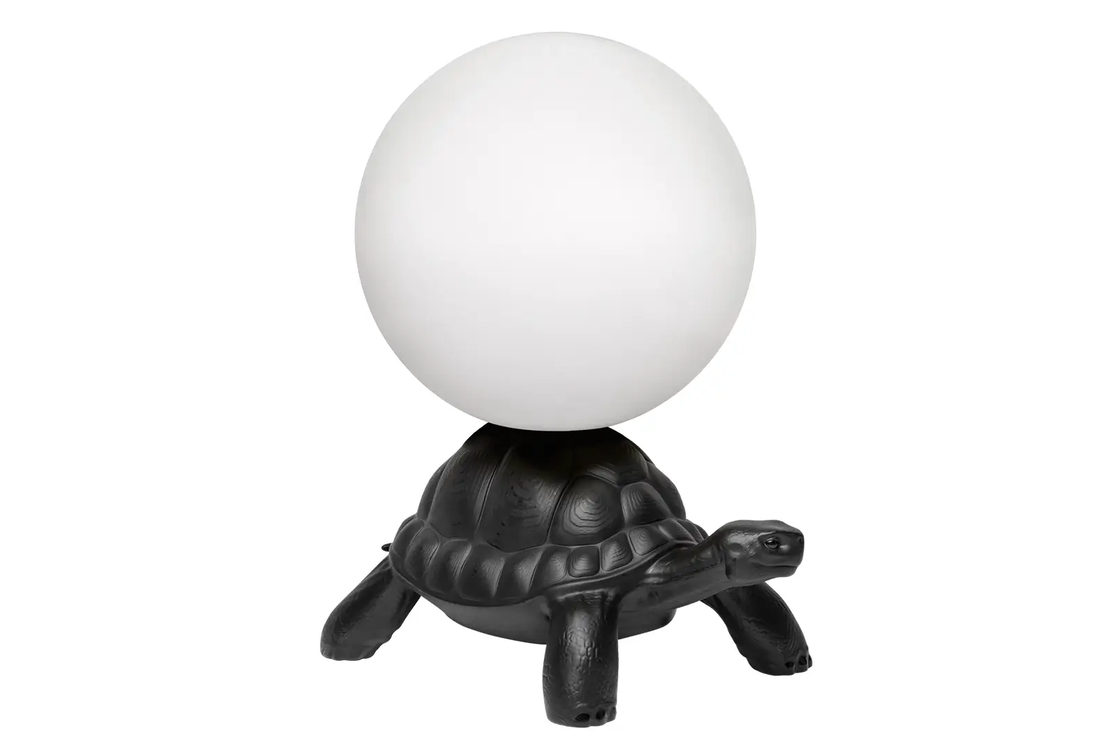 Qeeboo Turtle | LED Leuchte | Black