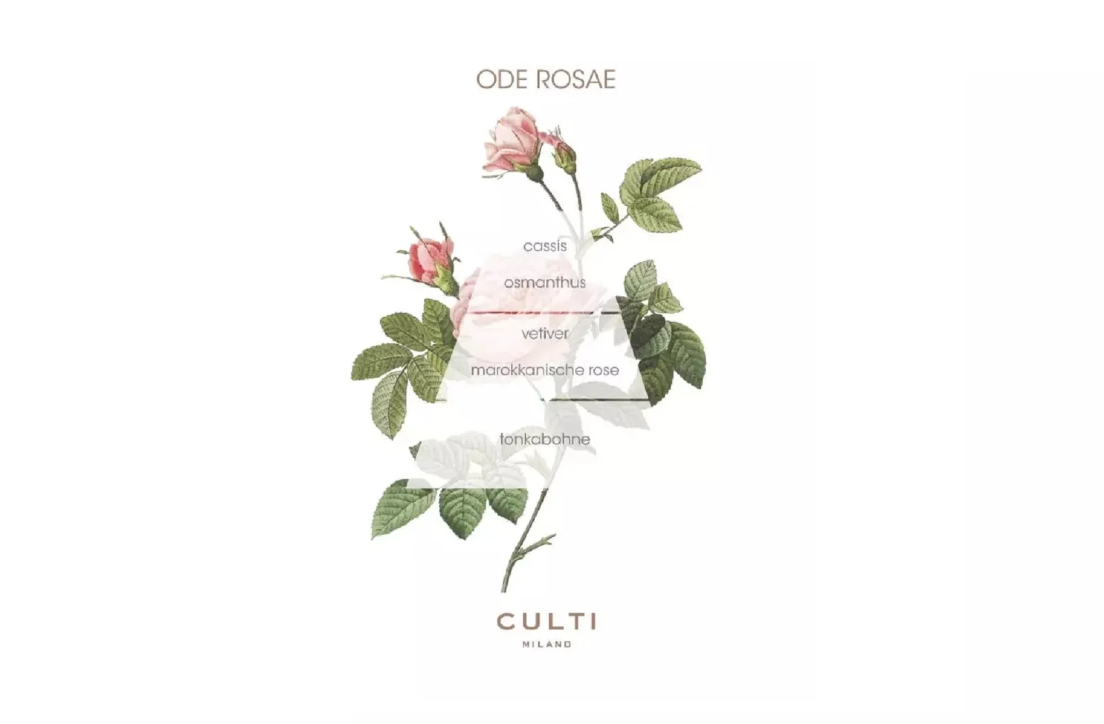 Culti Milano Ode Rosae | Decor | Diffuser 250 ml